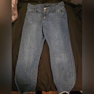 Liverpool Los Angeles High Rise Skinny Raw Hem Jeans - Size 18